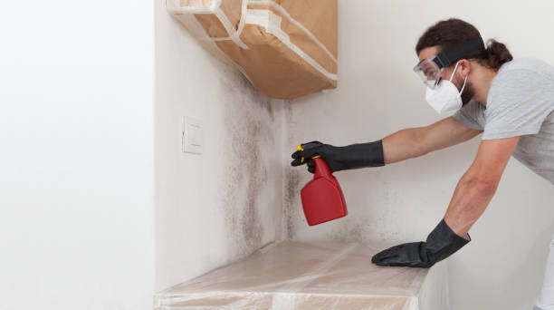 Professional Mold Cleanup technician working in Helotes, TX